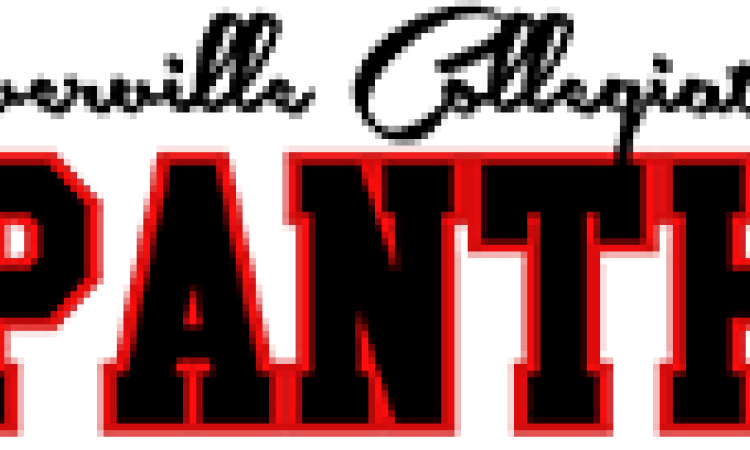 Varsity Girls Panthers