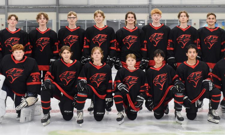 The new Niverville Panthers hockey team.