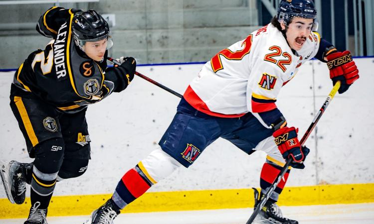 The Niverville Nighthawks came back down to earth on Saturday night. After a six-game winning streak, they got whacked 7–2 on the road by the Neepawa Titans.