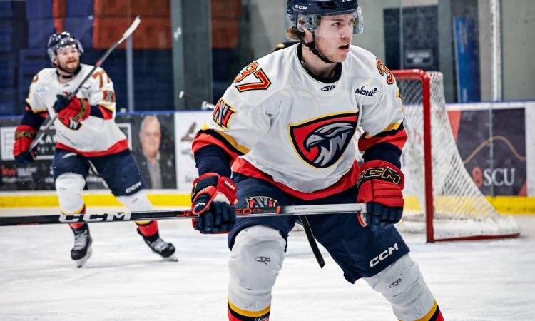The Niverville Nighthawks stayed hot with a big 4–0 win over the Dauphin Kings on Saturday evening at the CRRC. 