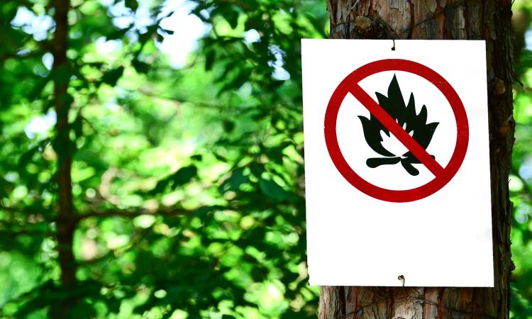 A fire ban is in effect throughout southeastern Manitoba.