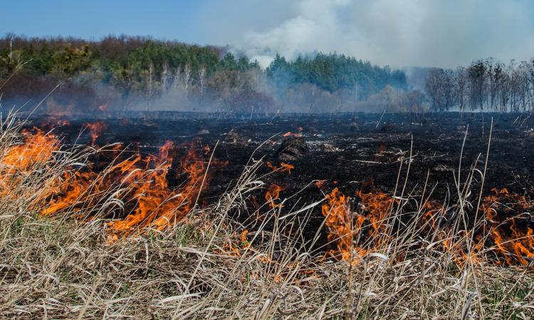 In the midst of recent extreme temperatures and high winds, out of control wildfires are now moving through some parts of eastern Manitoba where cottages and campgrounds abound.