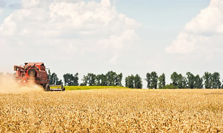 Combine hit the field in southern Manitoba