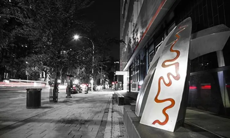 Sakwi's art installation at 287 Broadway