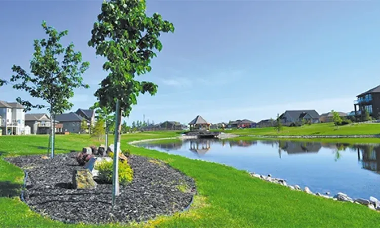 Fifth Avenue Estates in Niverville