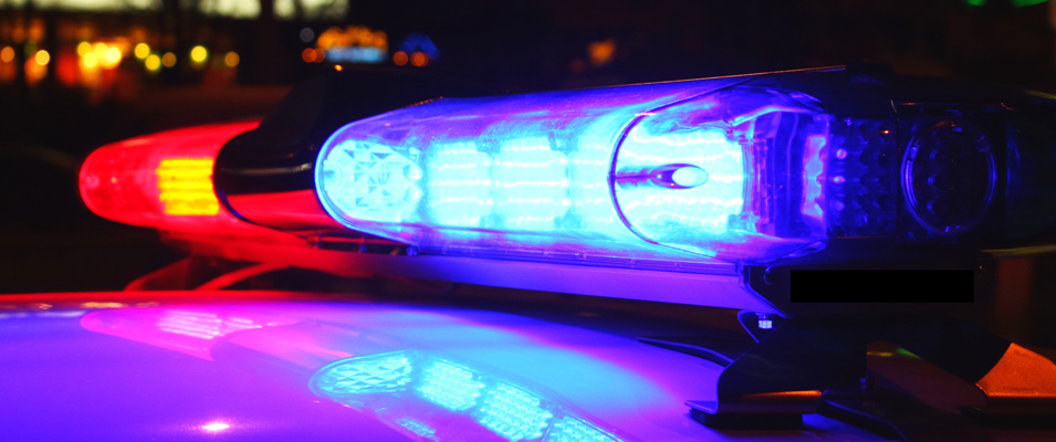 For several local families, this year’s July long weekend ended on a terrifying note.