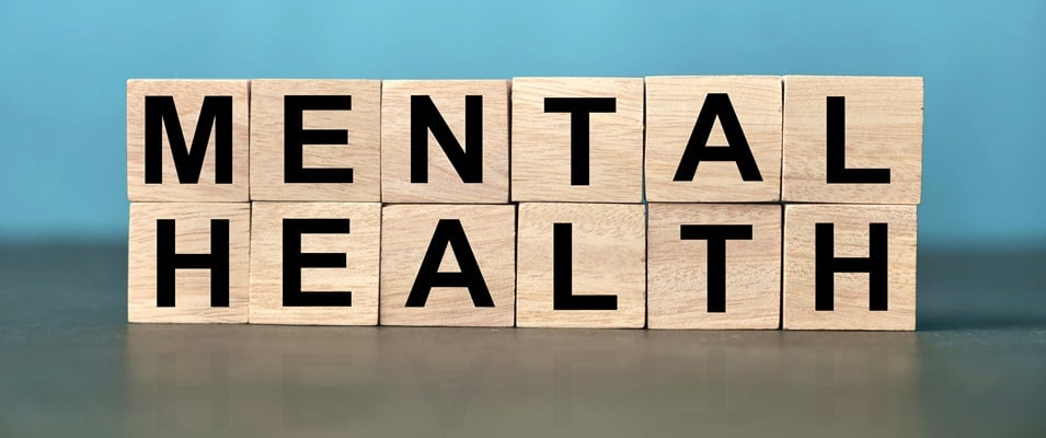 In 2021, during the COVID-19 pandemic, the provincial government launched two virtual pilot projects to reach people in a state of mental health crisis in rural and remote Manitoba.
