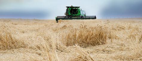New financial supports for the agriculture sector were announced by the provincial government on January 18 in Brandon.