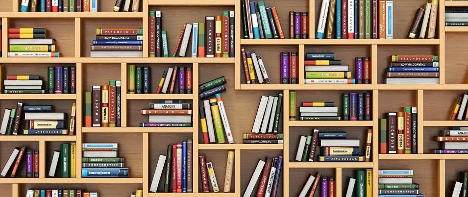 The Bibliotheque Ritchot Library was the recipient of just over $46,000 in grant funding this year thanks to public library support from the province of Manitoba.