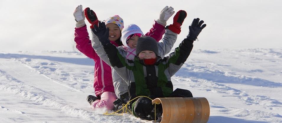 The TC Energy Centre will host the return of the Île-des-Chênes Snowman Festival on Saturday, February 4 from 10:00 a.m. to 6:00 p.m. Residents from Île-des-Chênes and the surrounding area are welcome to join in on the family-friendly fun.