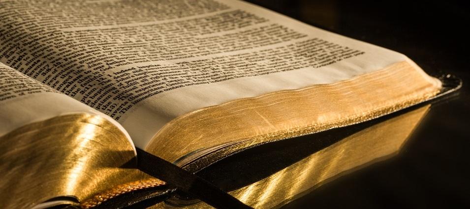 Once upon a time, long ago, I went to church. My family went to church every week without fail and I liked church as a young child. I felt safe and close to holiness, even if I didn’t recognize that this is what I felt.
