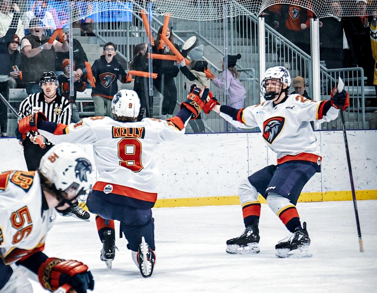 The Nighthawks celebration a playoff goal on home ice.