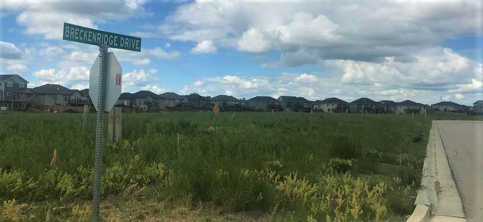 The undeveloped lots on Breckenridge Drive in Niverville.