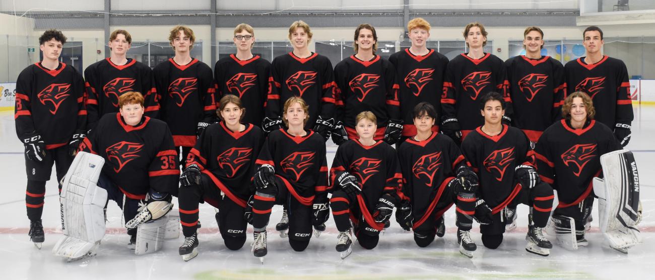 The new Niverville Panthers hockey team.
