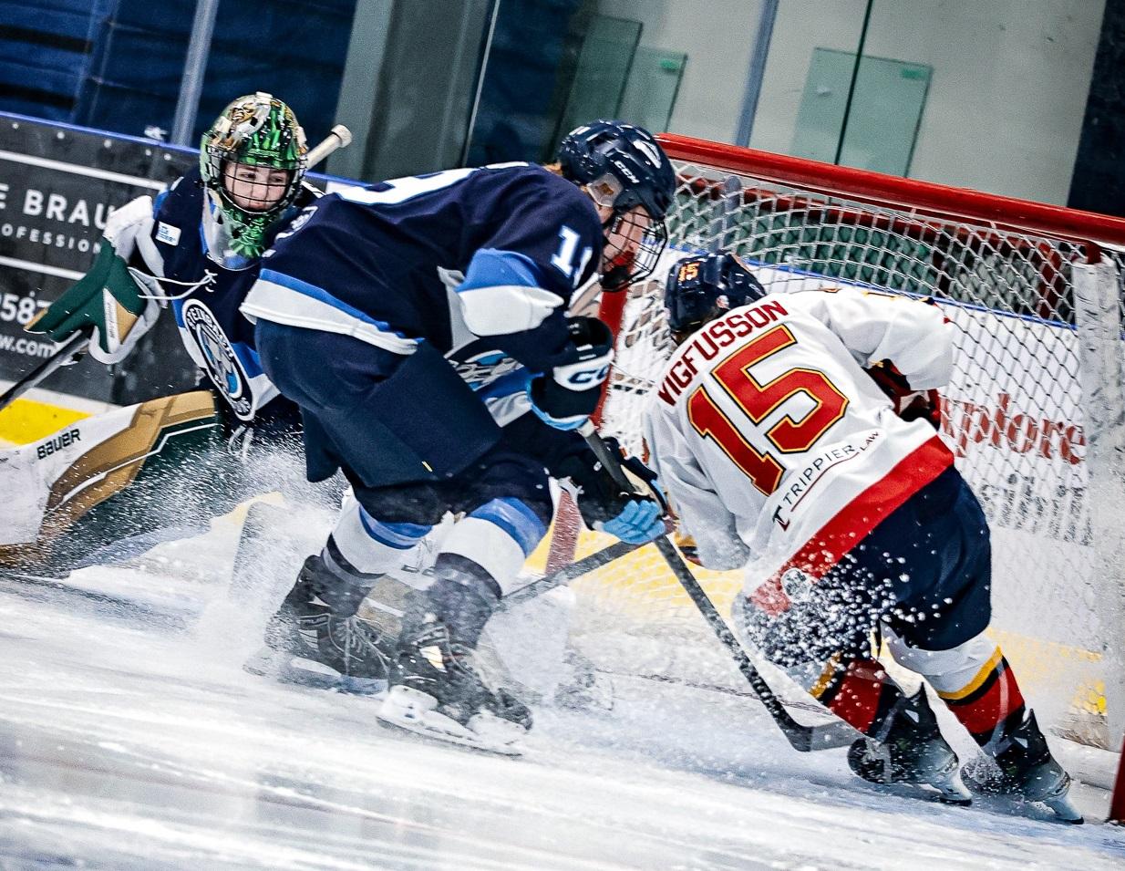 In last night’s game, a massive 2–1 victory over the Pistons, the Nighthawks put together their best 60 minutes of the season.