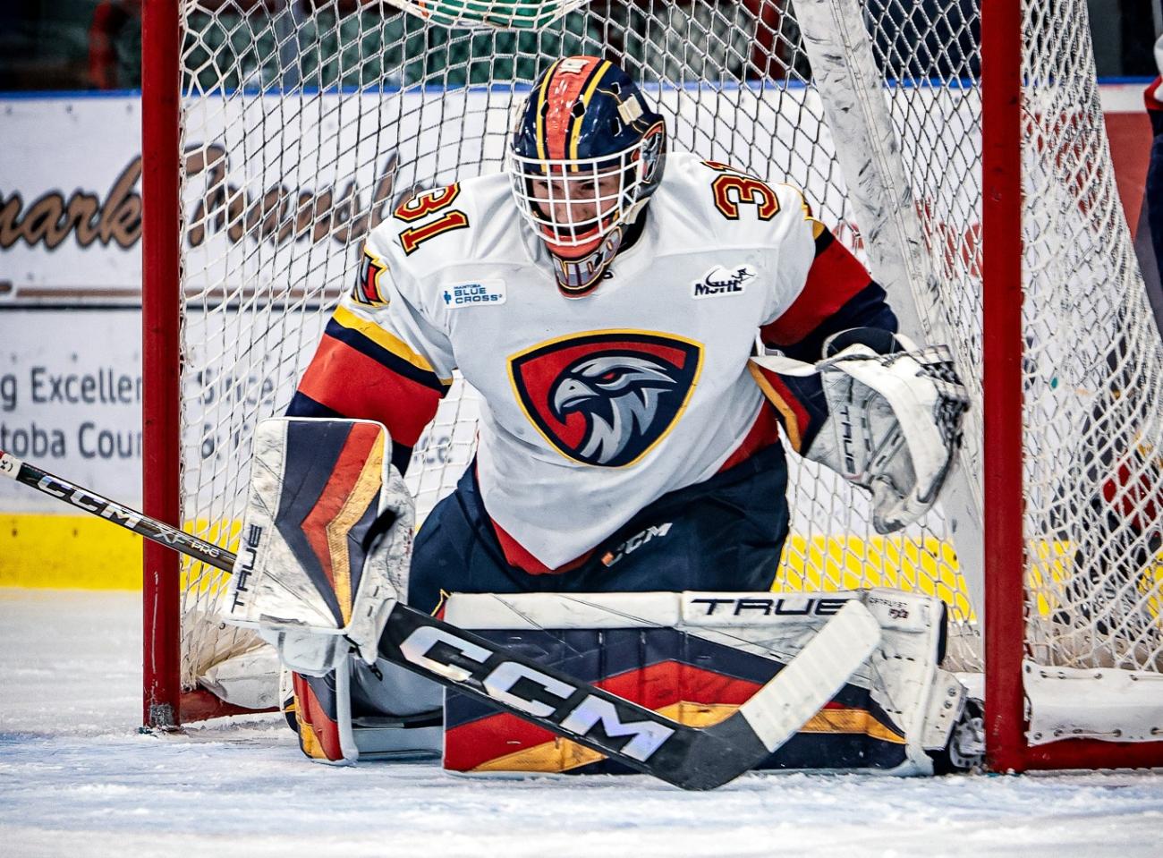 Raiden Legall in net.
