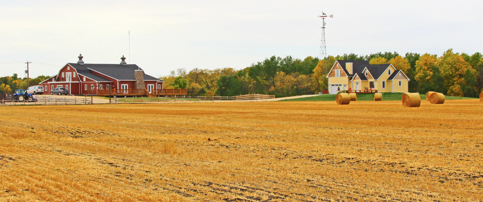 Whitetail Meadow