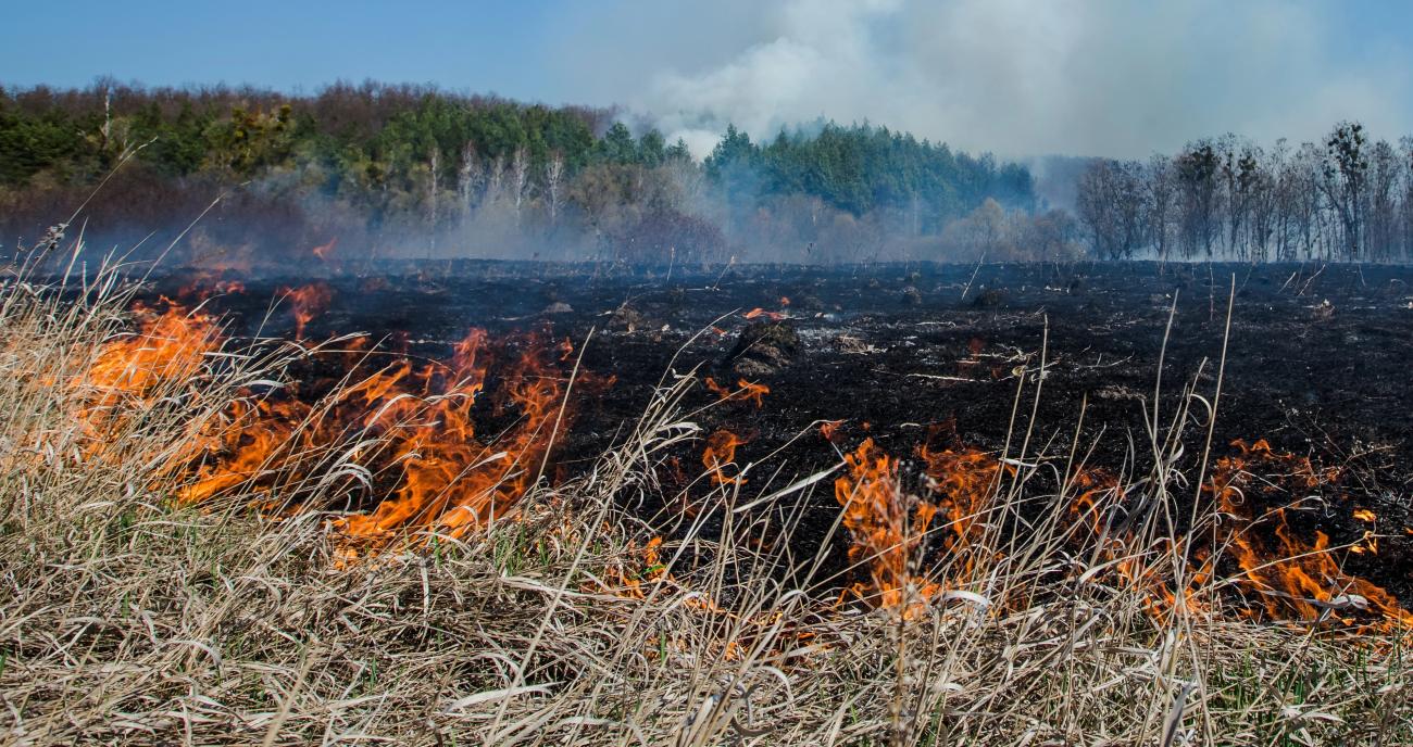 In the midst of recent extreme temperatures and high winds, out of control wildfires are now moving through some parts of eastern Manitoba where cottages and campgrounds abound.